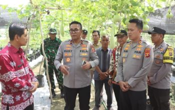 Brigjen Rudy Syafirudin Dorong Setiap Rumah di Desa Percontohan Banyuasin Miliki 7-8 Jenis Tanaman Pangan