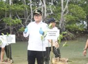 Ketua DPRD Lampung Ikuti Aksi Tanam Mangrove di Pesawaran, Dorong Komitmen Bersama Selamatkan Pesisir