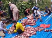 Pondok Pesantren Menara Sembilan Lampung Perkuat Syiar Islam Lewat Qurban Iduladha 1446 H
