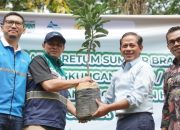 PLN Nusantara Power dan Menteri LHK Bersinergi Tanam Pohon di Hulu Brantas