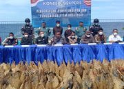 Lanal Tahuna Gagalkan Penyelundupan Ratusan Ayam Ras Ilegal Filipina, Kerugian Capai Rp3 Miliar