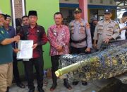 Buaya Pembunuh di Sungai Semaka Berhasil Dilumpuhkan