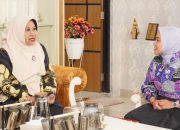 Akselerasi Literasi, Bunda Literasi Lampung Jadi Narasumber Gebyar Nasional