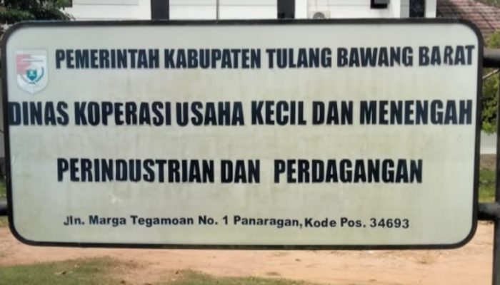 Audit Retribusi Pasar Tubaba Mendesak, PAD Diduga Bocor Miliaran Rupiah