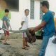 Warga Perumahan Wismamas, Kemiling, secara bergotong-royong mengevakuasi ular sanca kembang sepanjang sekitar tiga meter yang masuk ke garasi salah satu rumah warga, Jumat pagi (18/7/2025).