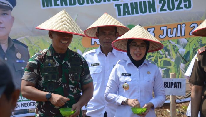 Dandim 0427/Way Kanan Dukung Gerakan Tanam Jagung Petani Mitra Adhyaksa
