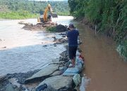 Banjir Berakhir, Bupati Tanggamus Gerak Cepat Pulihkan Sektor Pertanian
