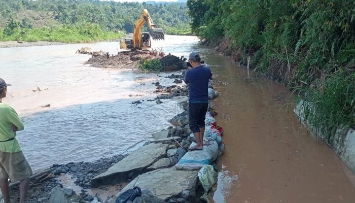 Banjir Berakhir, Bupati Tanggamus Gerak Cepat Pulihkan Sektor Pertanian