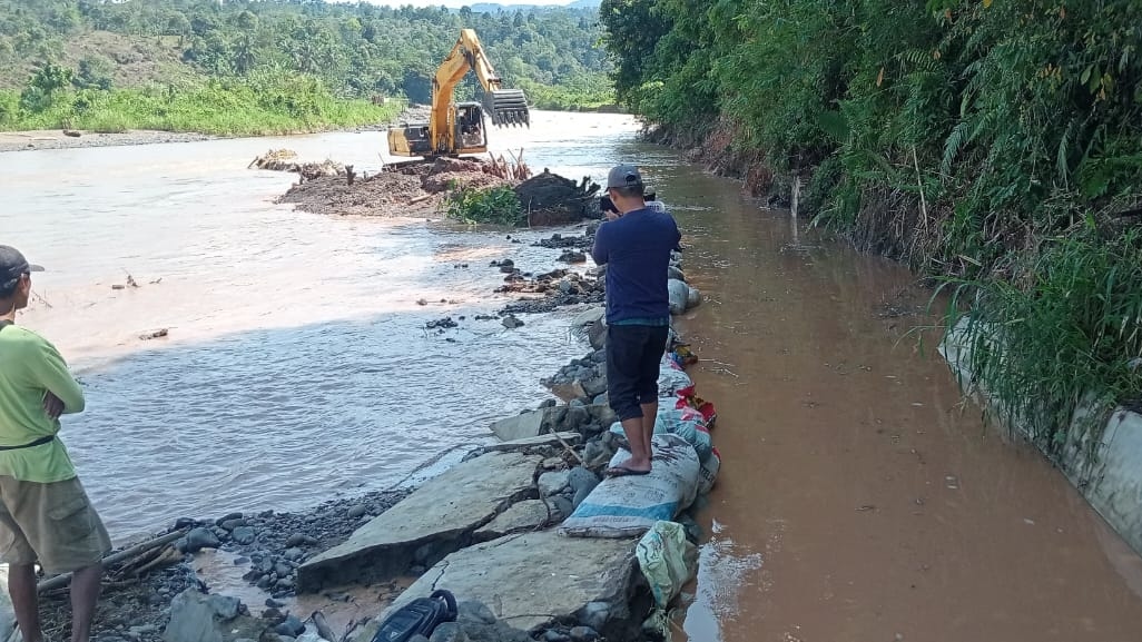 Banjir Berakhir, Bupati Tanggamus Gerak Cepat Pulihkan Sektor Pertanian