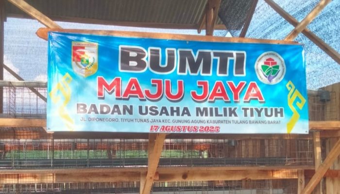 Dugaan Penyelewengan Dana Desa di Tunas Jaya: Proyek BUMTi Diduga untuk Keuntungan Pribadi