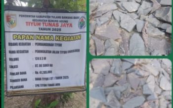 Banyak Proyek Bermasalah? Dana Desa Tunas Jaya Diharap Diperiksa APH