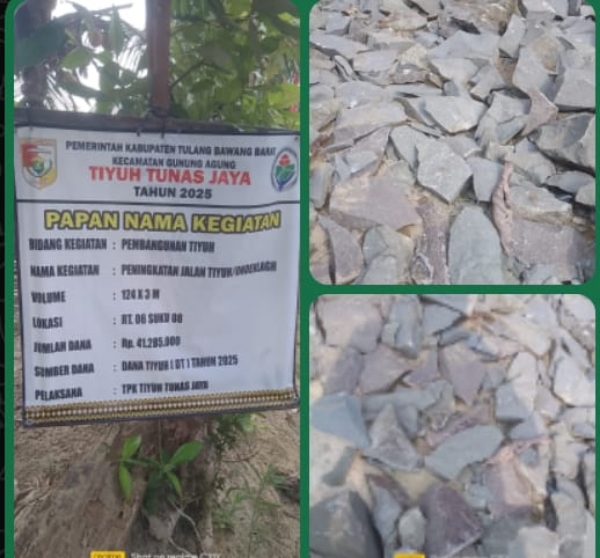 Banyak Proyek Bermasalah? Dana Desa Tunas Jaya Diharap Diperiksa APH