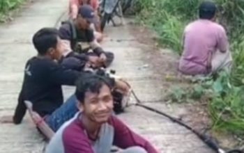 Sambut HUT ke-80 RI, Warga Pekon Pemancar Gelar Gotong Royong Massal