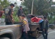 Polres Tanggamus Tangkap 5 Pencuri Baterai PLTS, Tiga Pelaku Lain Buron