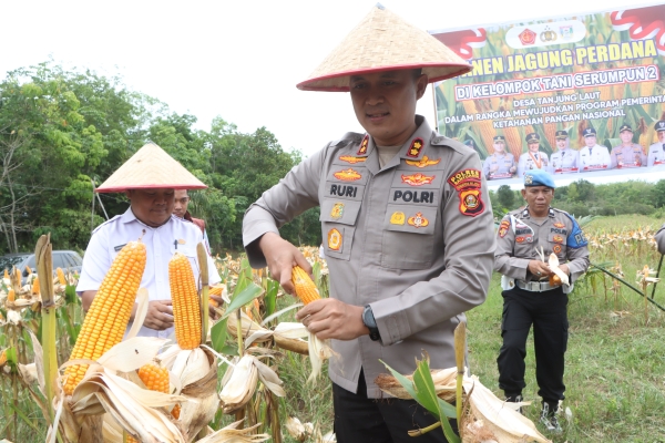 Dukung Ketahanan Pangan, Kapolres Banyuasin Pimpin Langsung Panen Jagung 3 Hektar