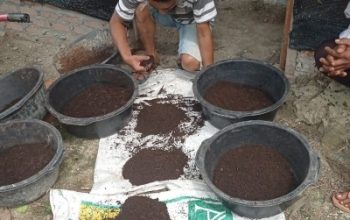 Berdayakan Warga, PLN Nusantara Power Ubah Limbah Jadi Cuan Lewat Budidaya Cacing
