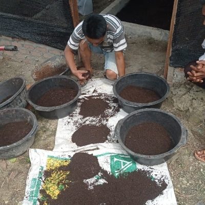 Berdayakan Warga, PLN Nusantara Power Ubah Limbah Jadi Cuan Lewat Budidaya Cacing