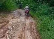 Terisolasi 8 Dekade, Sembilan Pekon di Tanggamus Belum Rasakan Merdeka Seutuhnya