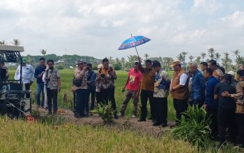 Didampingi Mentan, Banyuasin Targetkan Jadi Lumbung Pangan Nomor Satu Nasional
