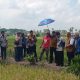 Didampingi Mentan, Banyuasin Targetkan Jadi Lumbung Pangan Nomor Satu Nasional