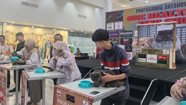 PDHI Sumsel-ICA Gelar Vaksinasi Rabies Gratis di Palembang, Kolaborasi dengan ICA