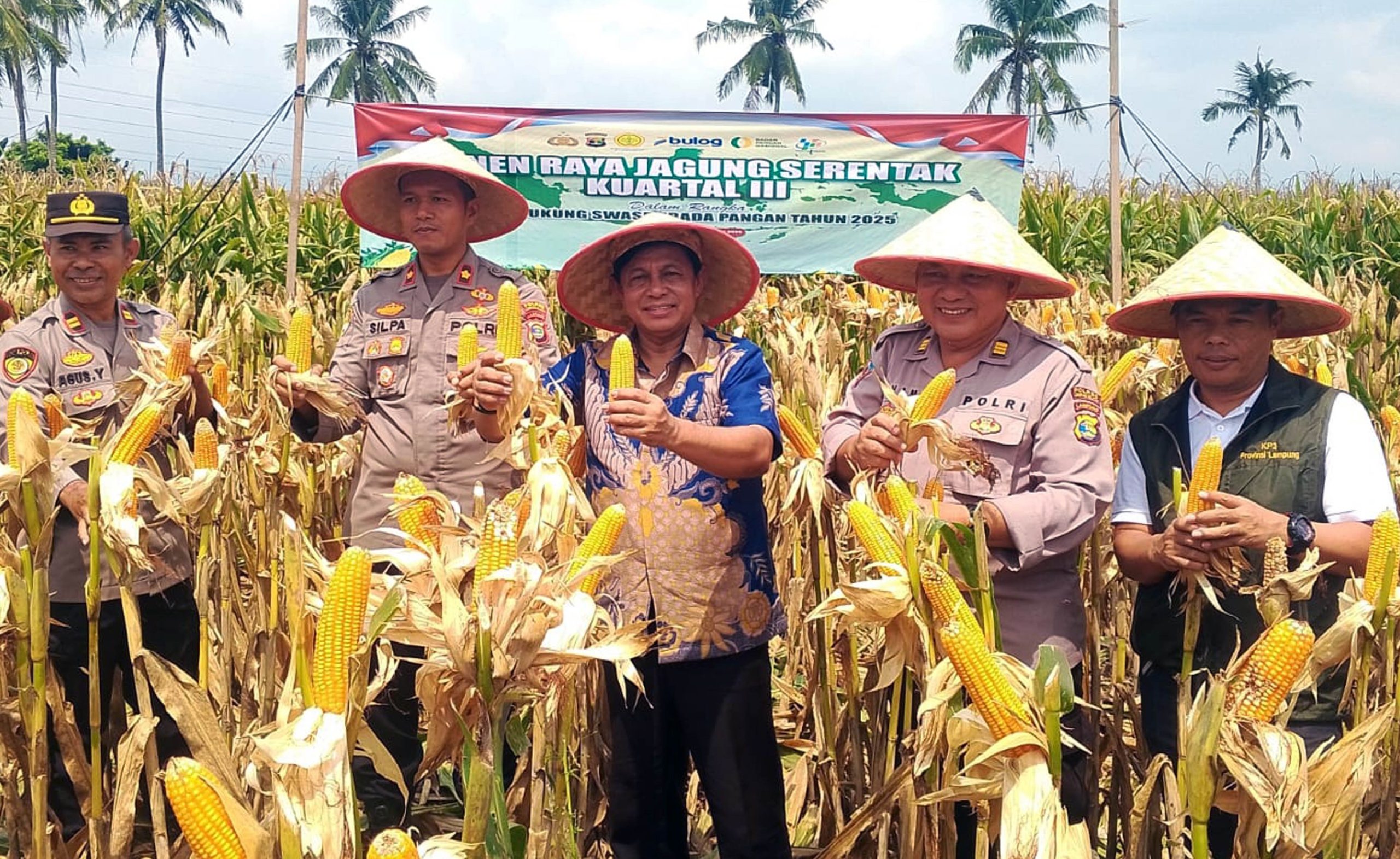Lampung Selatan Ambil Bagian dalam Panen Raya Jagung Serentak Kuartal III 2025