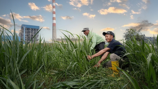 SIPANDU DESI PLN NP Raih Initiative Award 2025 Berkat Inovasi Agrikultur Berbasis PLTS