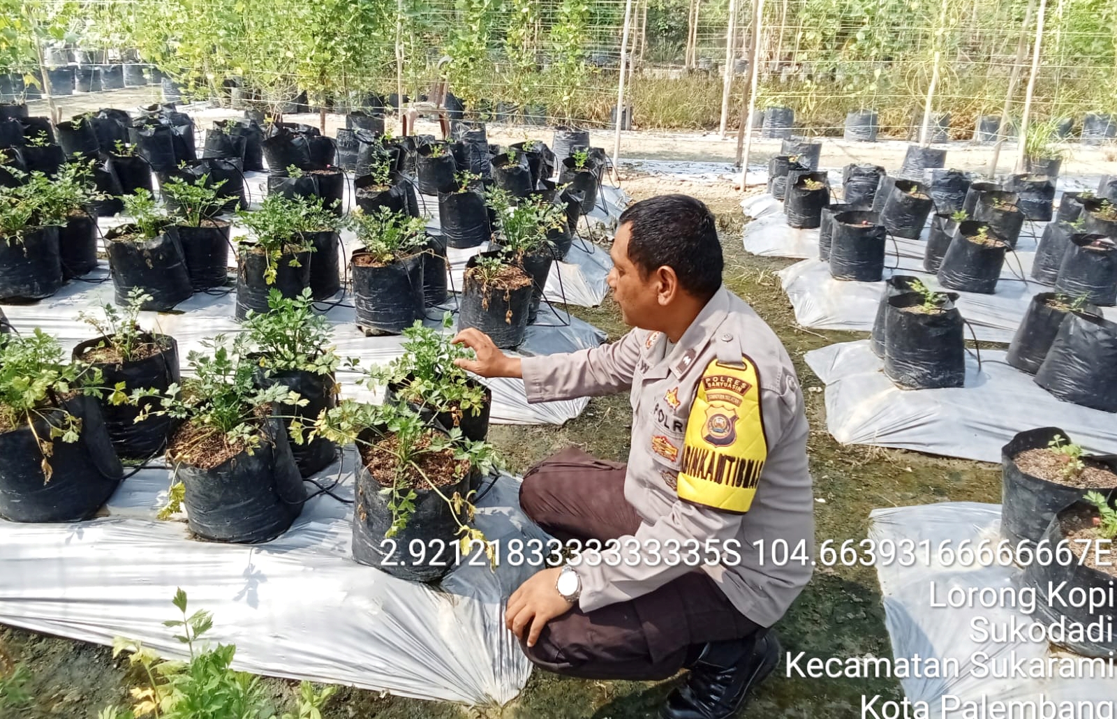 Aipda Ari Wibowo Gerakkan Warga Tanah Mas Indah Sukseskan P2B Menuju Swasembada Pangan