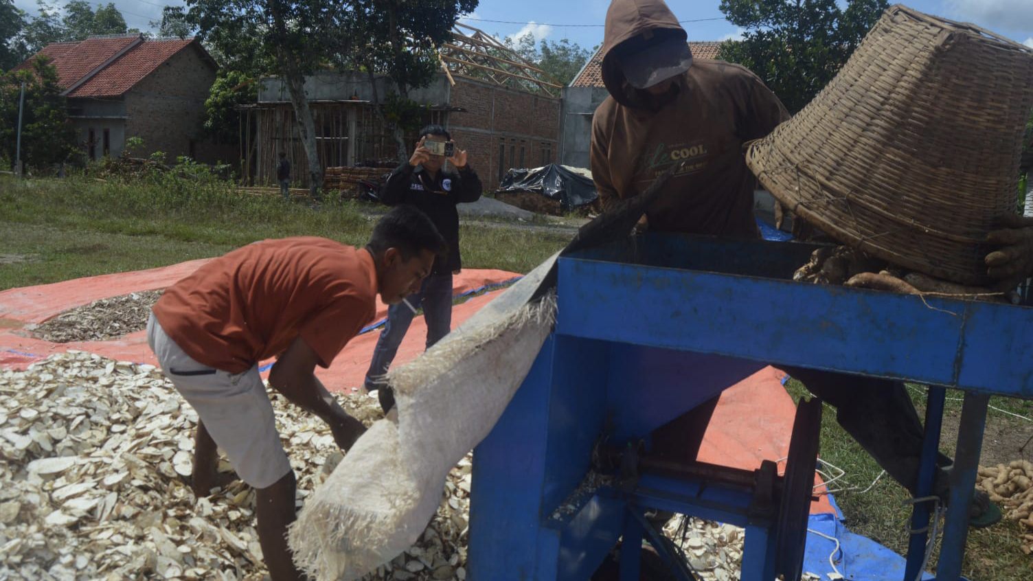 Harga Singkong Anjlok, Prajurit Lanudad Way Kanan Putar Otak Olah Panen Jadi Gaplek Bernilai Tinggi
