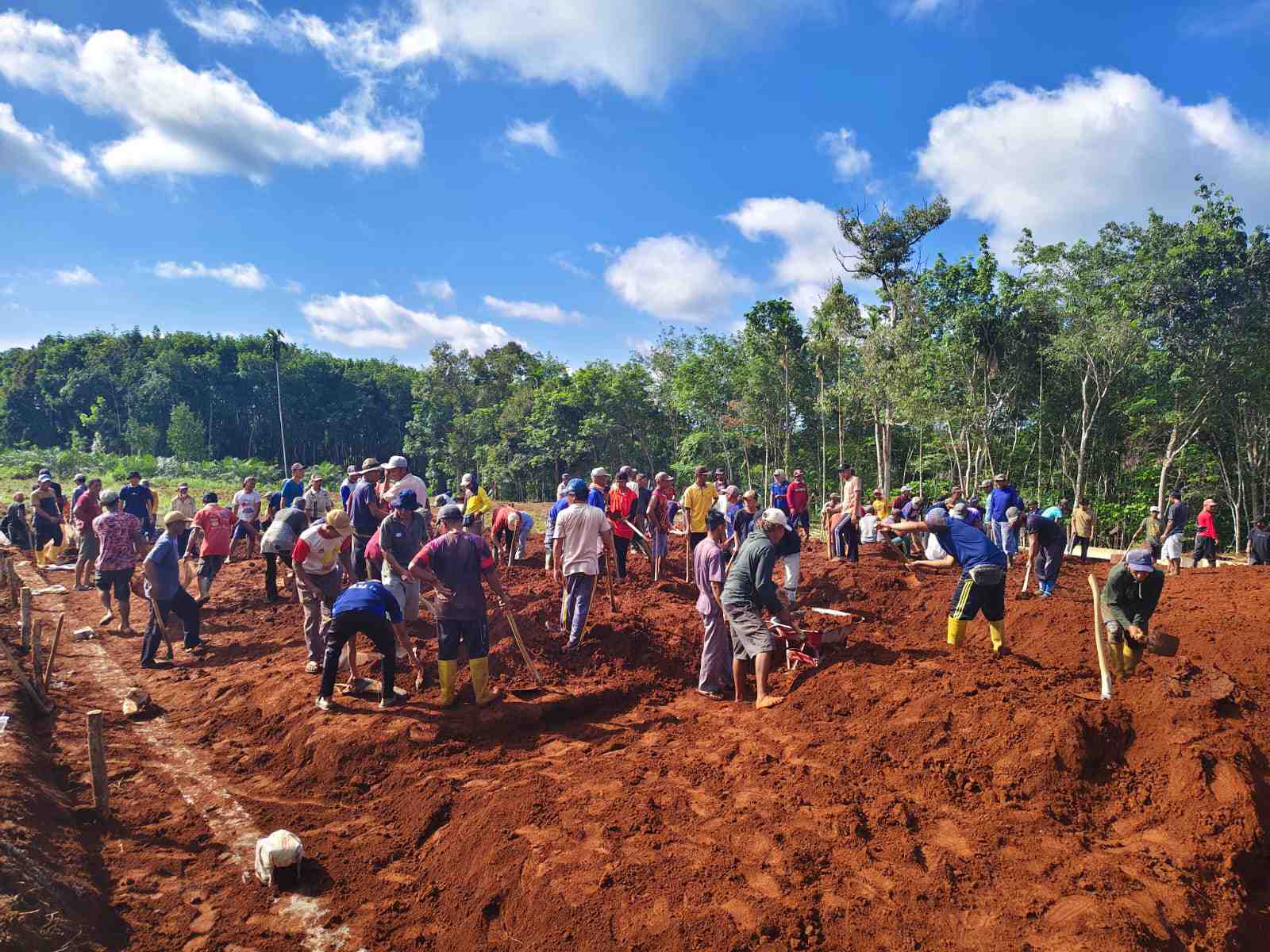 Target Pilot Project, Ratusan Warga Way Kanan Gotong Royong Bangun Koperasi Merah Putih