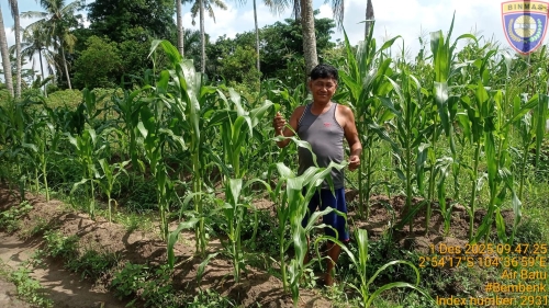 Bhabinkamtibmas Dukung P2B dan Swasembada Pangan Nasional