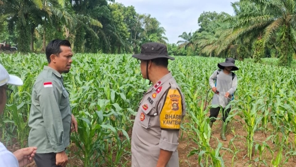 Bhabinkamtibmas Sosialisasikan P2B di SMK PP