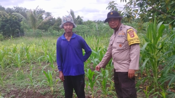 Bhabinkamtibmas Polsek Air Kumbang Gelar Sosialisasi P2B untuk Dukung Swasembada Pangan di Desa Muara Baru