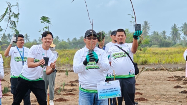 PLN NP UP Bandar Lampung Tanam 250 Pohon di UP Sebalang, Perkuat Komitmen Transisi Energi dan Lingkungan Berkelanjutan