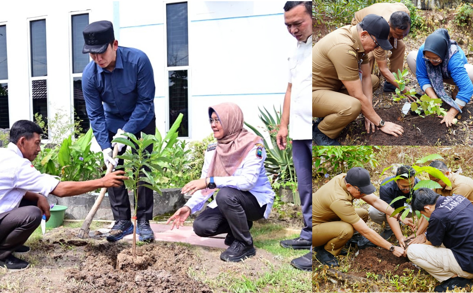 5.792 PPPK Paruh Waktu Lamsel Tanam Pohon Lewat Kampanye “Pohon Asuh”