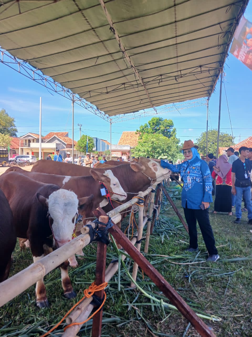 Isu Kekurangan Daging Sapi Dibantah, Pemprov Lampung Ungkap Data Surplus