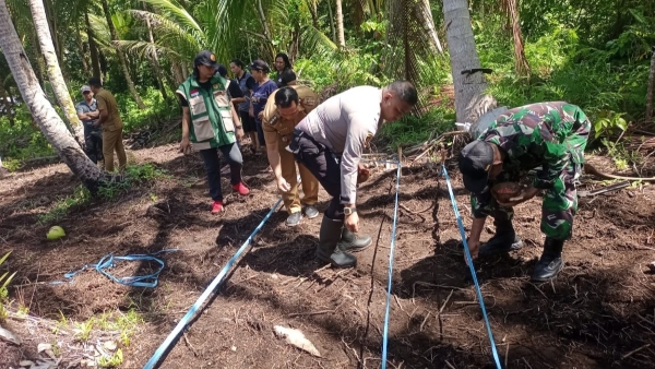 Camat Kendahe Bersama TNI-Polri Tanam Jagung, Dorong Ketahanan Pangan di Sangihe