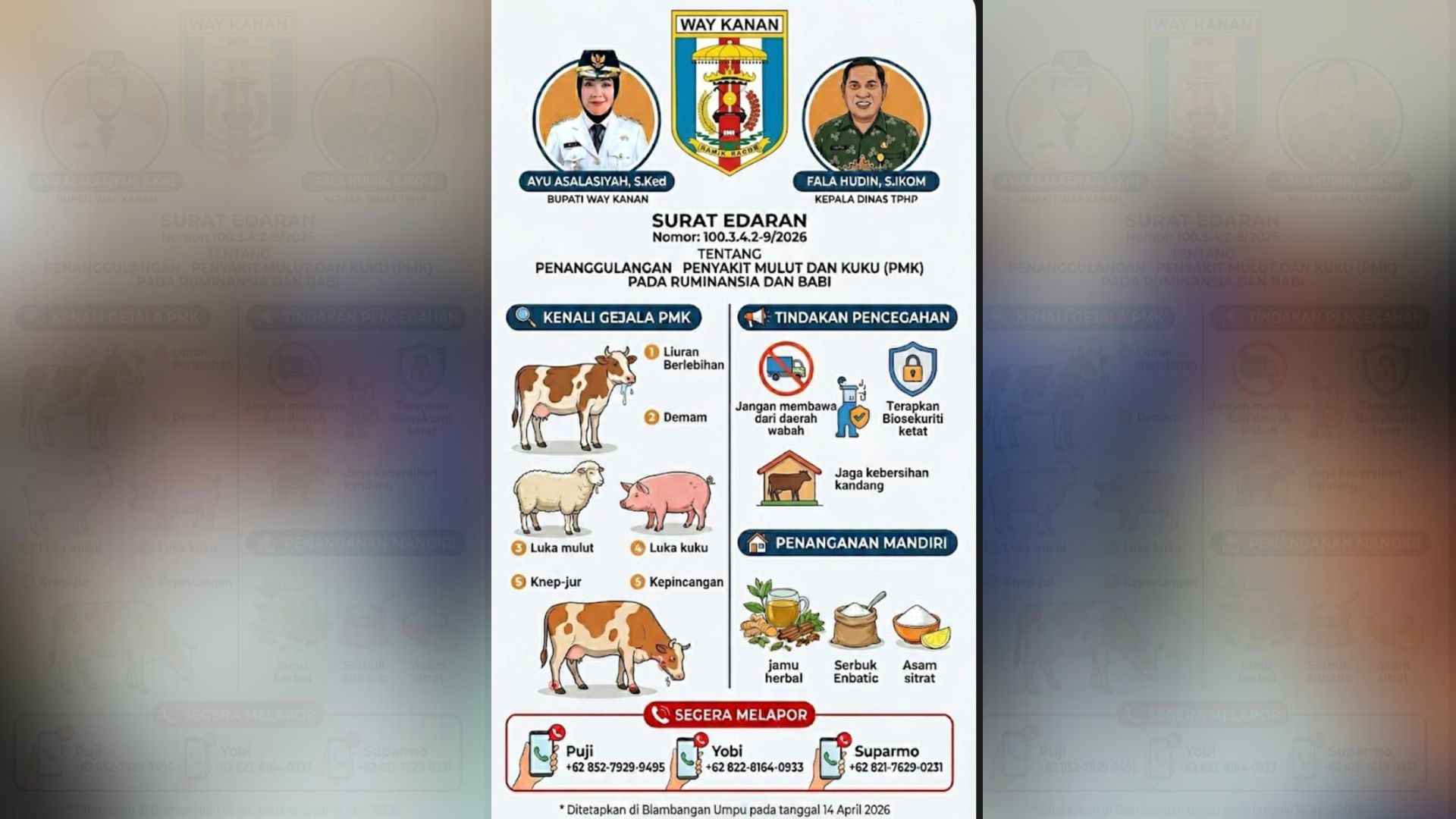 Cegah Wabah PMK, Pemkab Way Kanan Terbitkan Surat Edaran