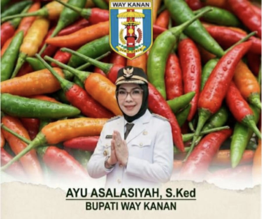 Atasi Defisit 16 Ribu Ton, Bupati Way Kanan Instruksikan Warga Tanam Cabai di Pekarangan