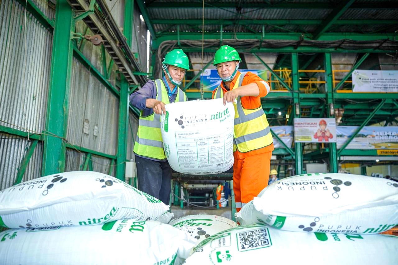Pusri Pastikan Stok Aman, Distribusi Pupuk Urea Bersubsidi di Sumbar Tetap Lancar