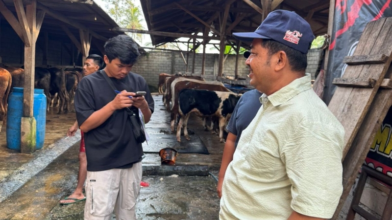 Survei Kedua Panitia Qurban Al Iman Gedong Meneng, Fokus pada Kelayakan dan Harga Hewan