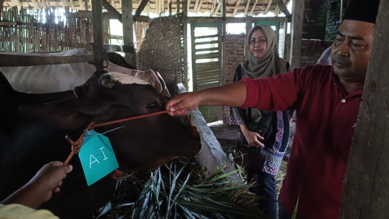 Amankan Hewan Qurban, Panitia Masjid Al Iman Gedong Meneng Serahkan DP ke Peternak Terpilih