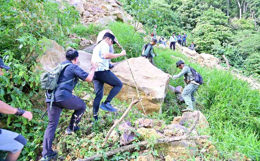 Bupati Egi Turun Gunung, Tanam Pohon di Lereng Gunung Rajabasa untuk Cegah Longsor Susulan