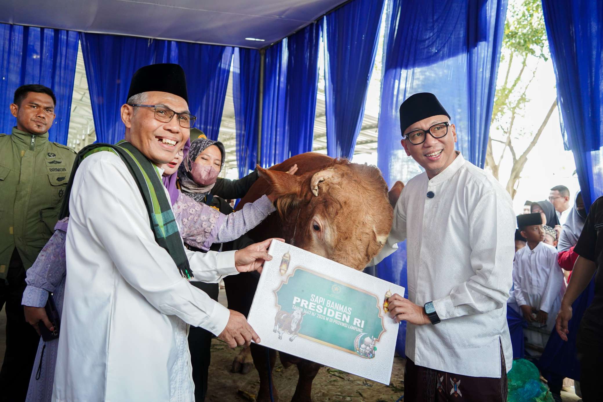 Shalat Id di Masjid Al-Bakrie, Gubernur Rahmat Mirzani Serahkan Sapi Kurban Presiden Seberat 1,15 Ton