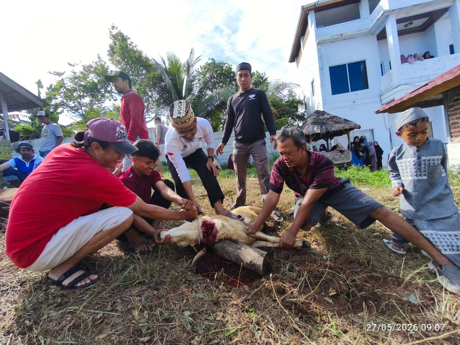 Pusatkan Pemotongan di Kemiling dan Natar, PPTQ MSI Lampung Sebar Ratusan Paket Daging