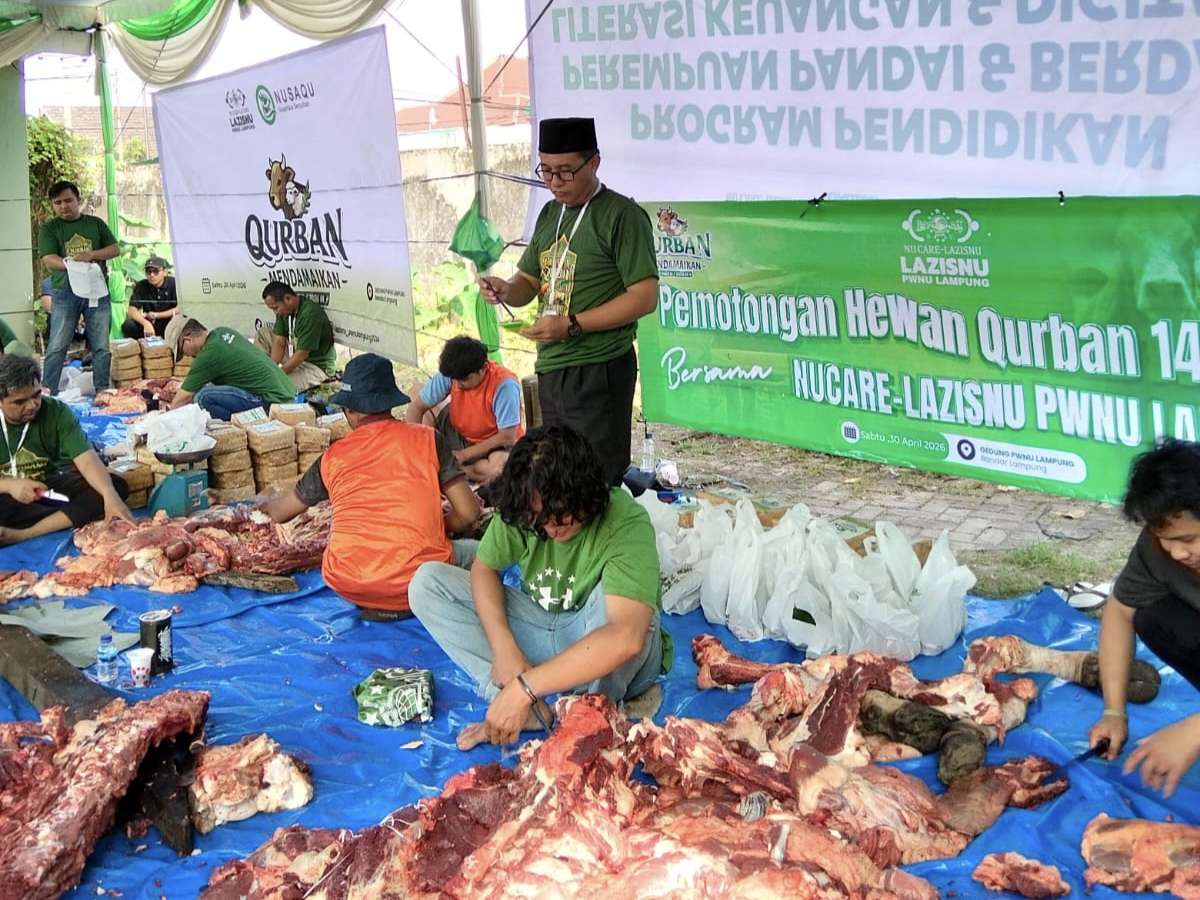 Ada Sapi 1 Ton dari Presiden Prabowo, PWNU Lampung Salurkan 1.328 Paket Kurban