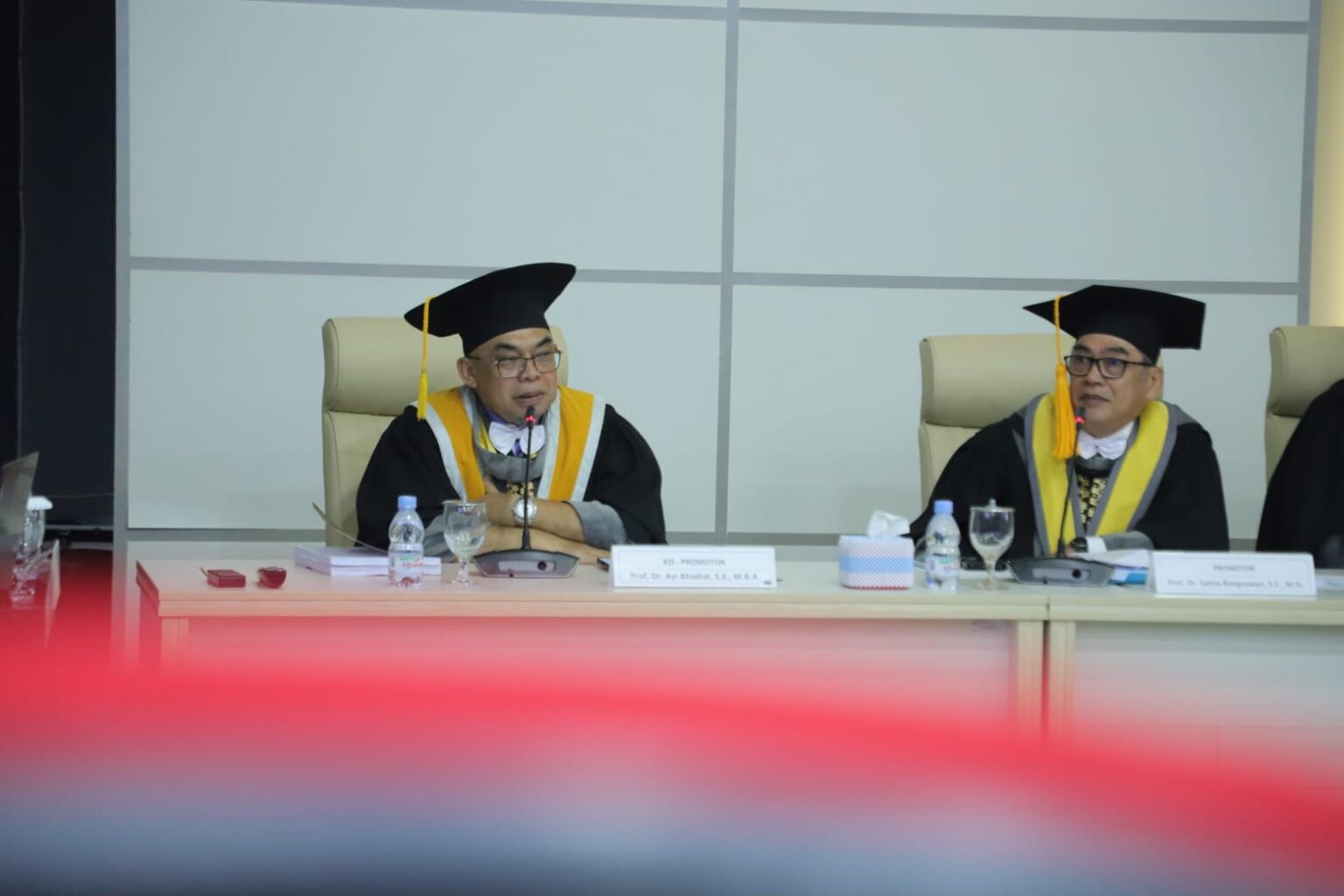 Bedah Strategi Kinerja Industri Kecil, Maya Yusnita Raih Gelar Doktor dari FEB Unila