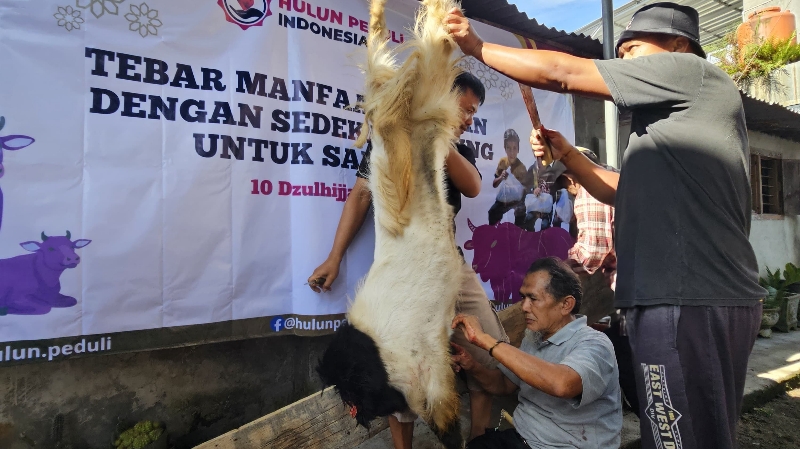 Hulun Peduli Indonesia Salurkan 250 Paket Daging Qurban di Tanggamus