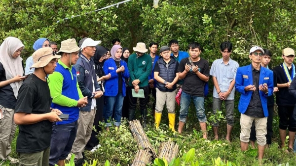 PKC PMII Lampung dan Cabang Se-Lampung Tanam 5.000 Bibit Mangrove di Pematang Pasir