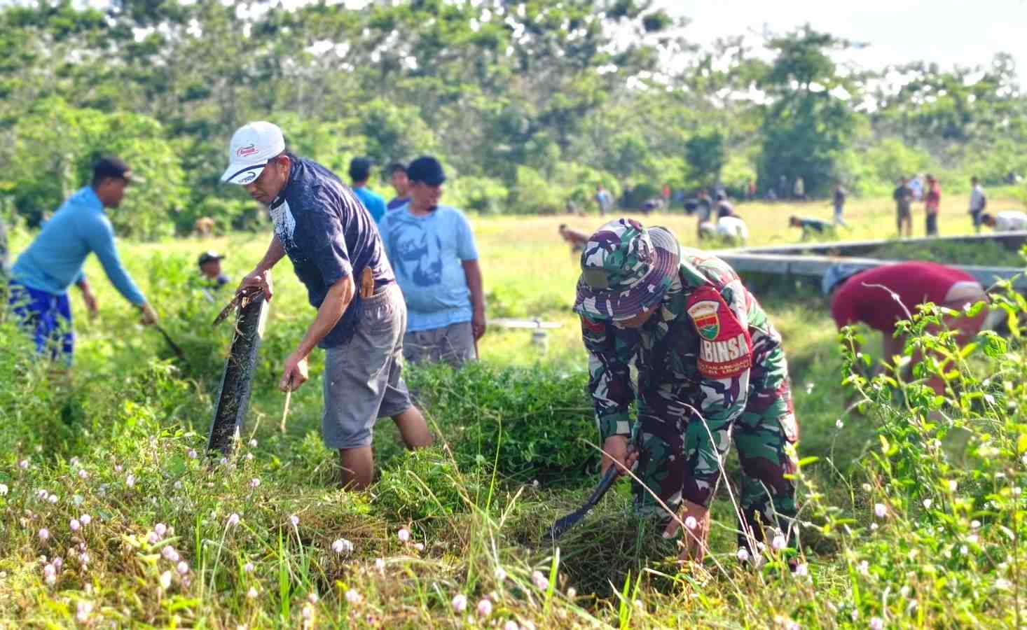 300 Warga Ikuti Gerakan Indonesia ASRI di Umpu Kencana, Dandim Turut Turun Tangan